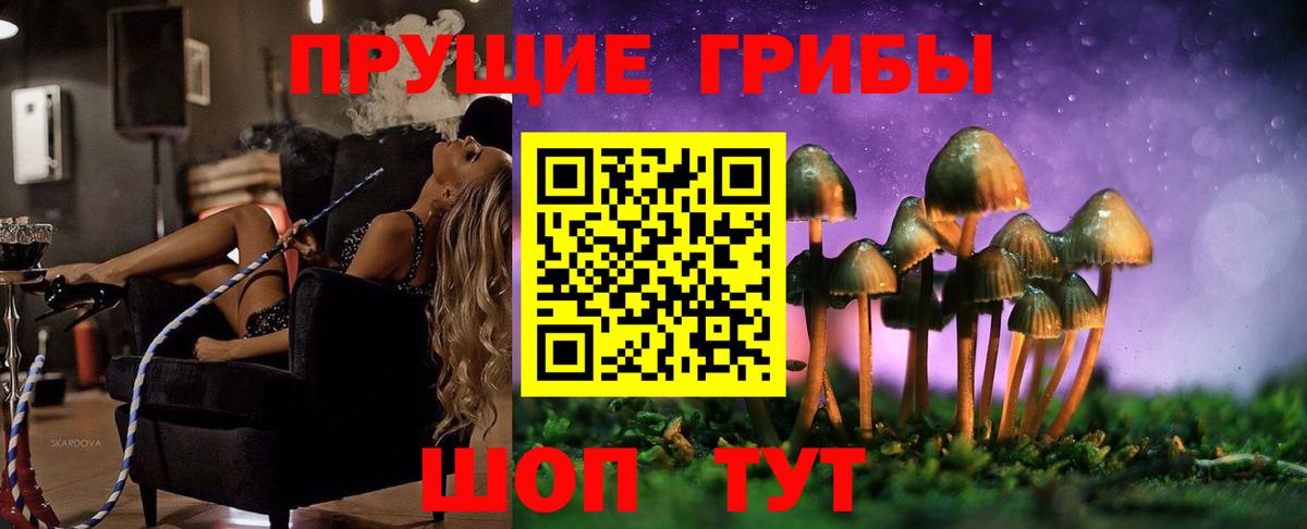 Псилоцибиновые грибы GOLDEN TEACHER Красноармейск
